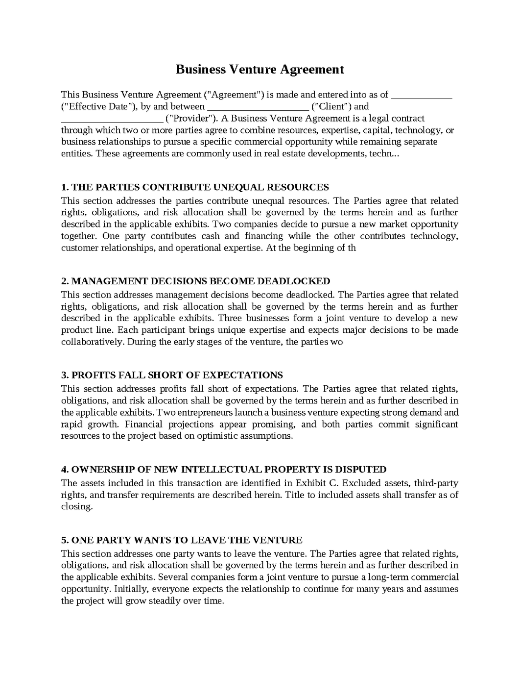 Business Venture Agreement