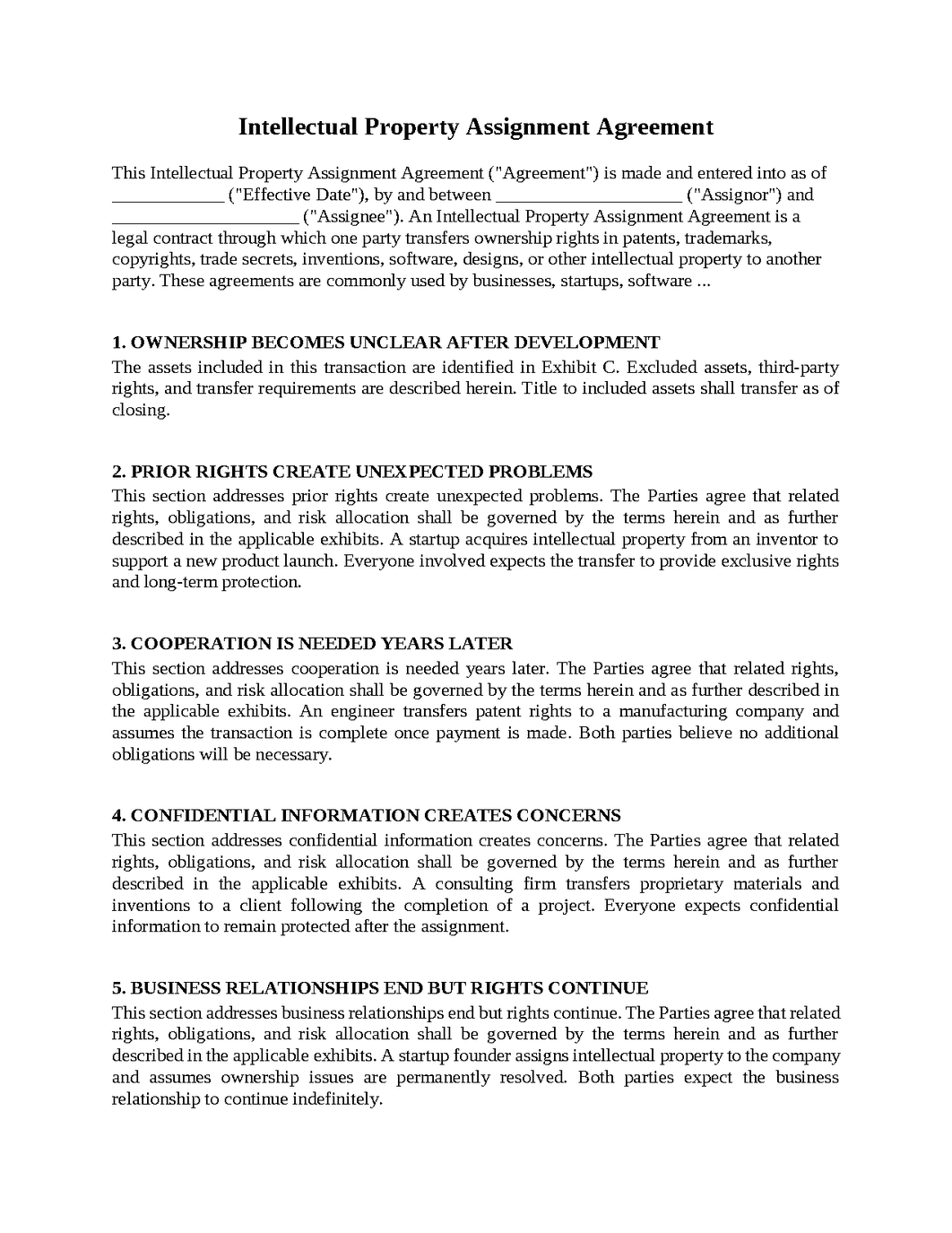 Intellectual Property Assignment Agreement